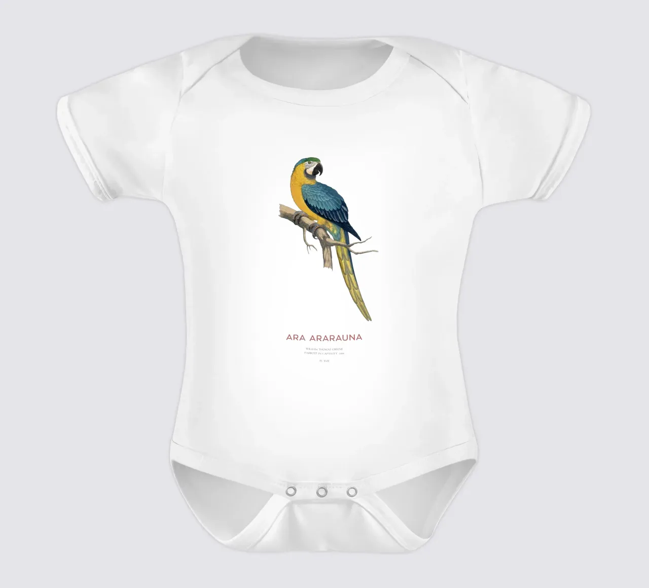 Ara blu e gialla o Ara ararauna body neonato maniche corte da Vintagrafica