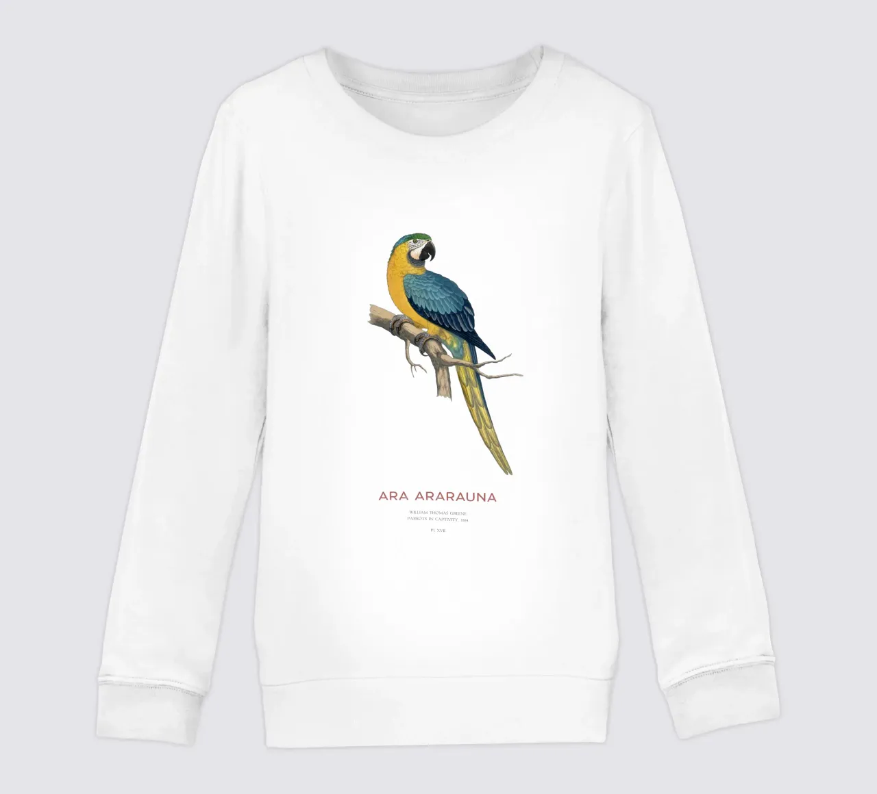 Blue and yellow macaw or Ara ararauna kids sweatshirt by Vintagrafica