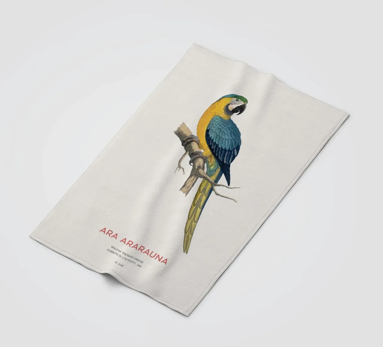 Ara blu e gialla o Ara ararauna coperta in pile da Vintagrafica
