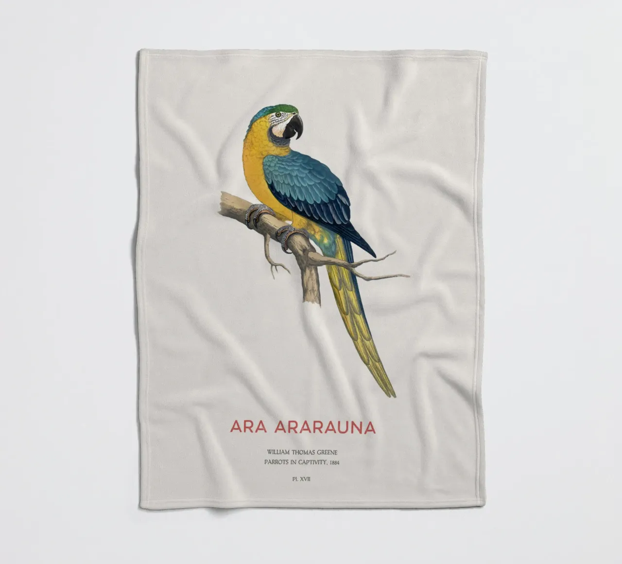 Ara blu e gialla o Ara ararauna coperta in pile da Vintagrafica