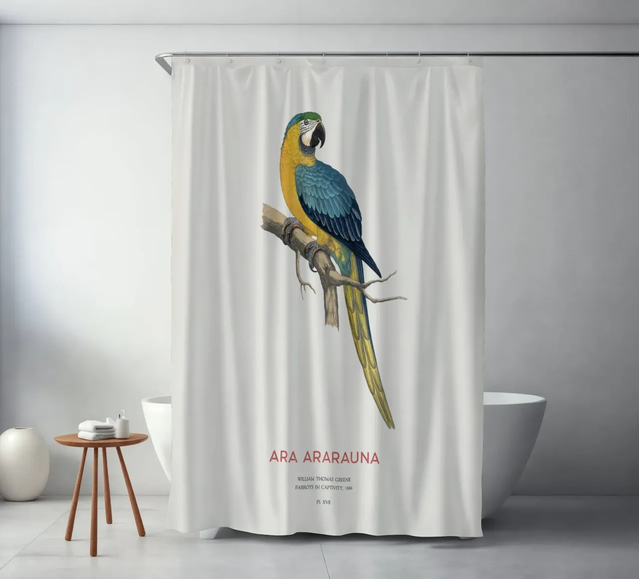 Blauer und gelber Ara oder Ara ararauna Duschvorhang von Vintagrafica