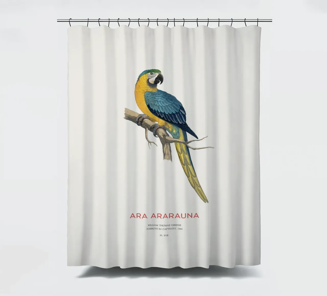 Blauer und gelber Ara oder Ara ararauna Duschvorhang von Vintagrafica