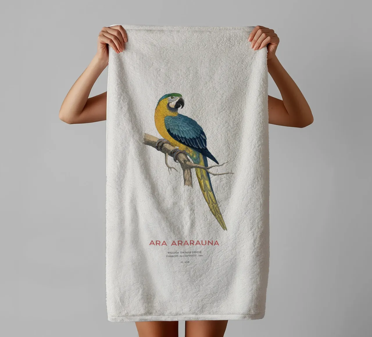 Blauer und gelber Ara oder Ara ararauna Handtuch von Vintagrafica