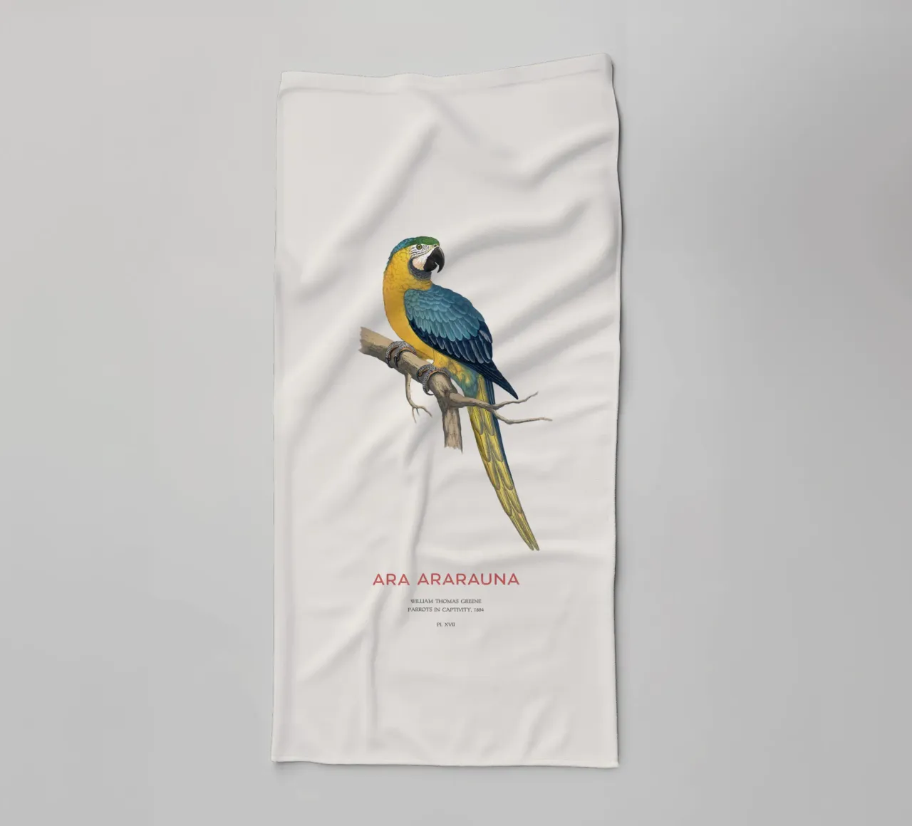 Blauer und gelber Ara oder Ara ararauna Handtuch von Vintagrafica
