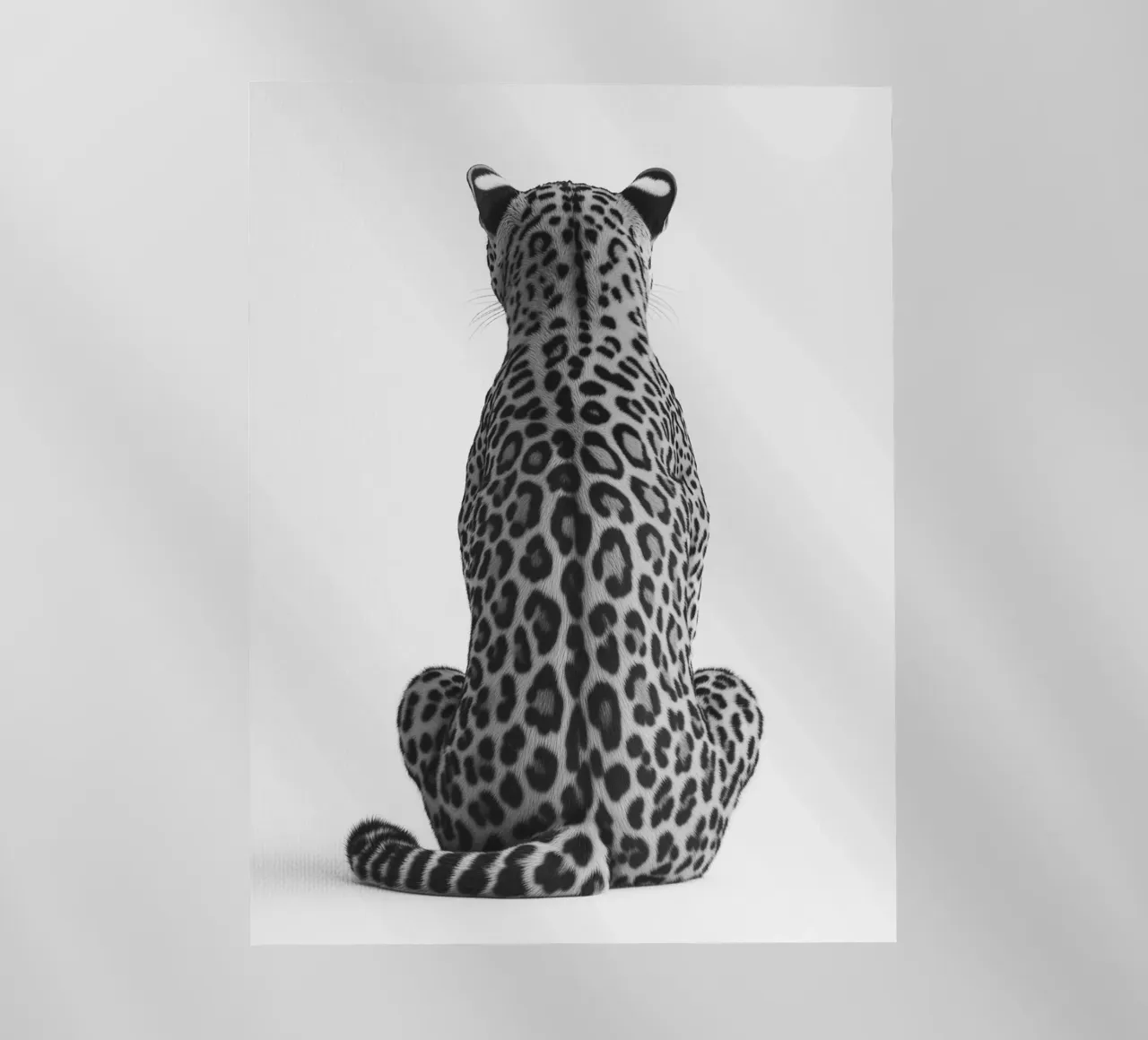 B&N Leopardo a riposo pellicola backlit da Carinaprint