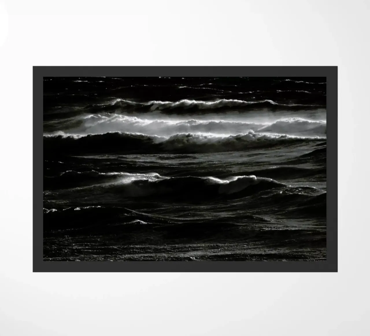 Heart of the Sea zerbino da Tal Paz-Fridman