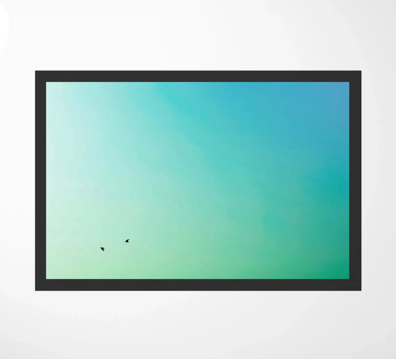 Up and Down zerbino da Tal Paz-Fridman