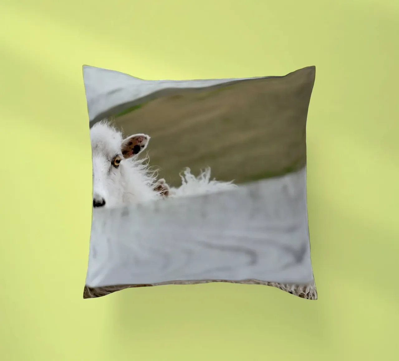 Watch Closely decorative cushion by Nur Mut