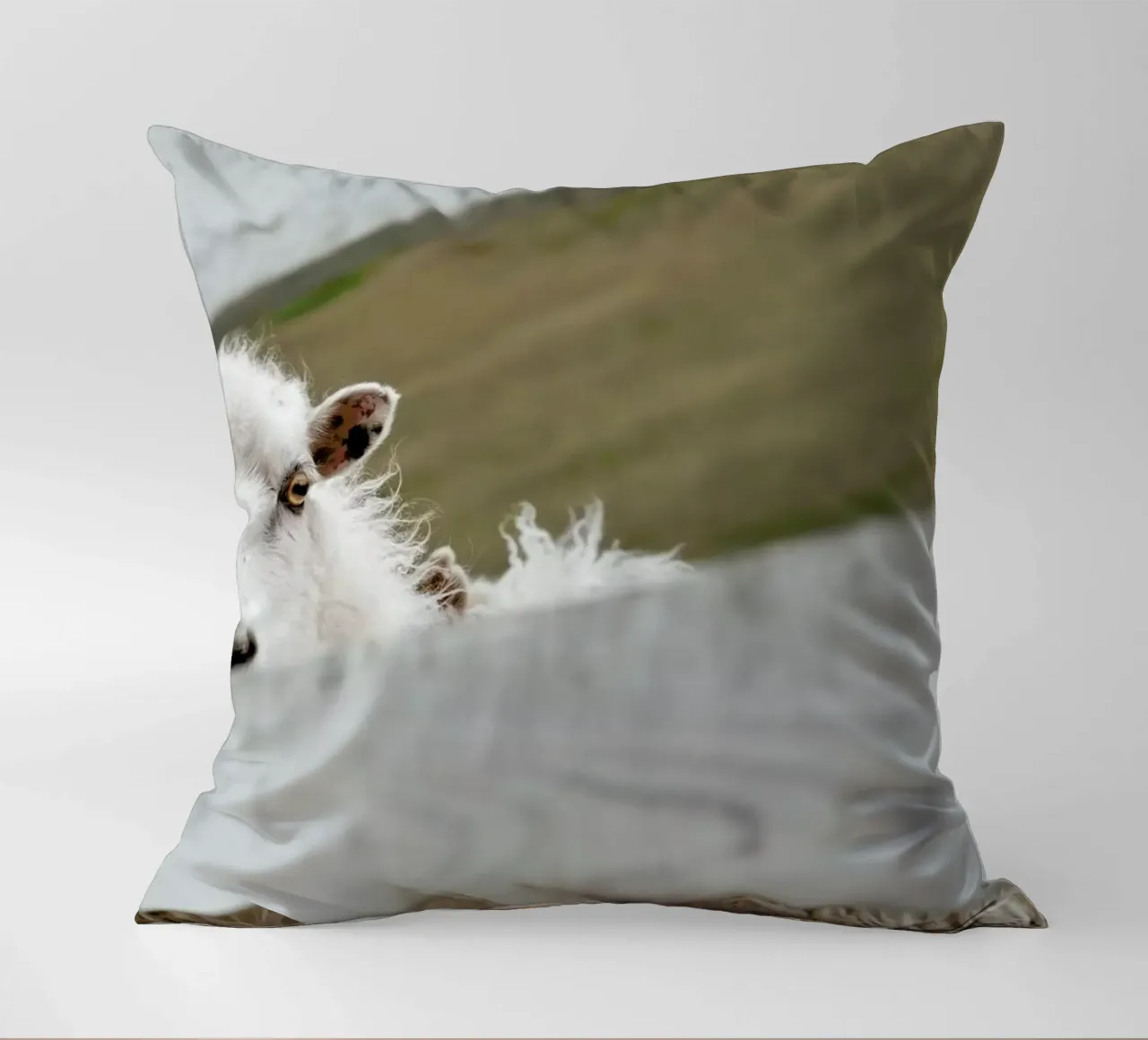 Watch Closely decorative cushion by Nur Mut