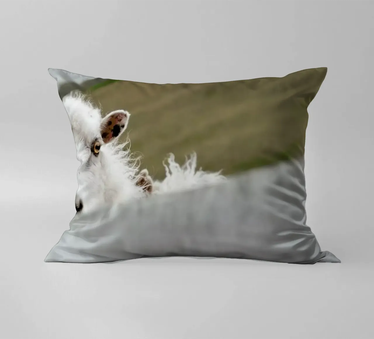 Watch Closely decorative cushion by Nur Mut