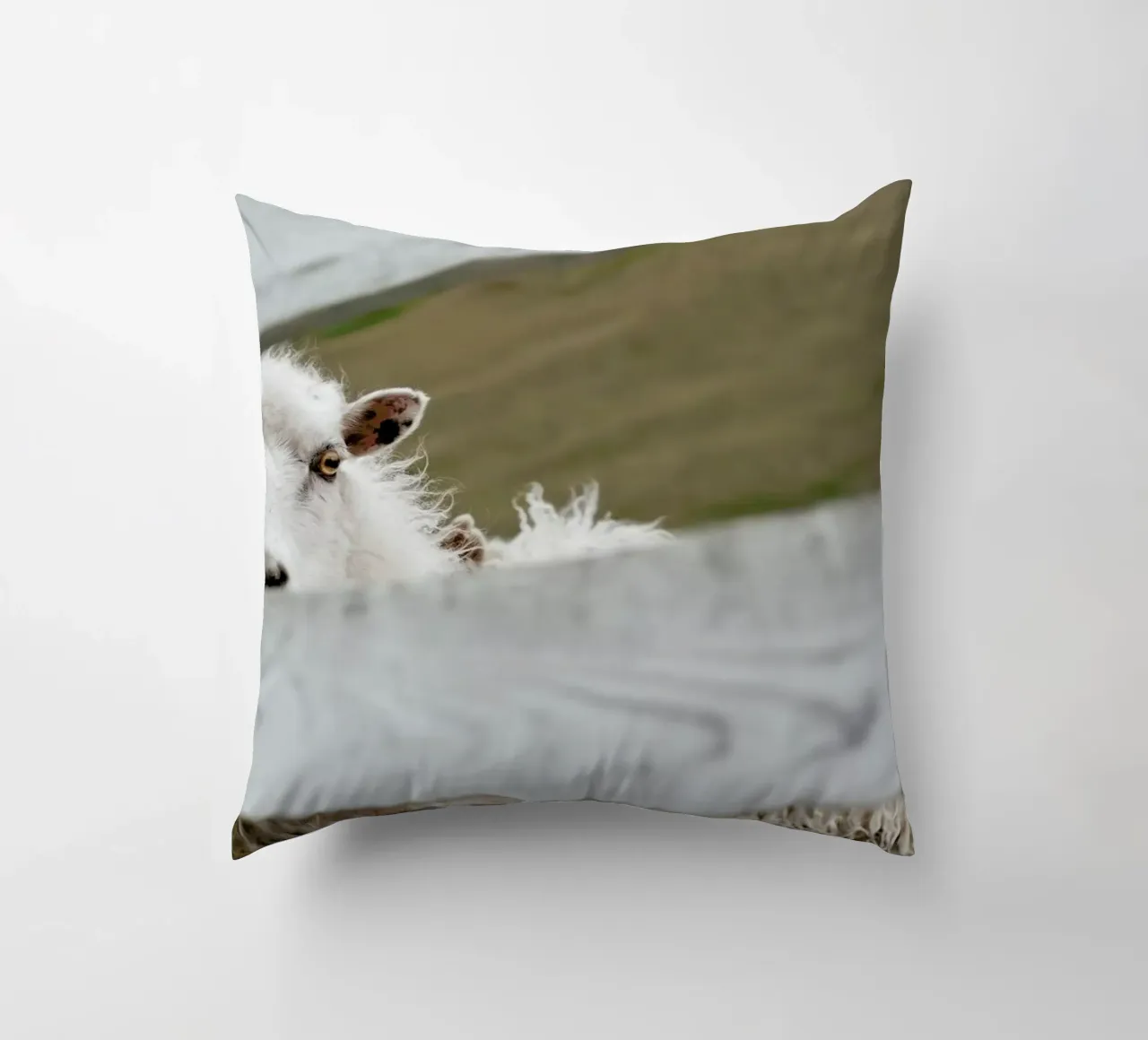 Watch Closely decorative cushion by Nur Mut