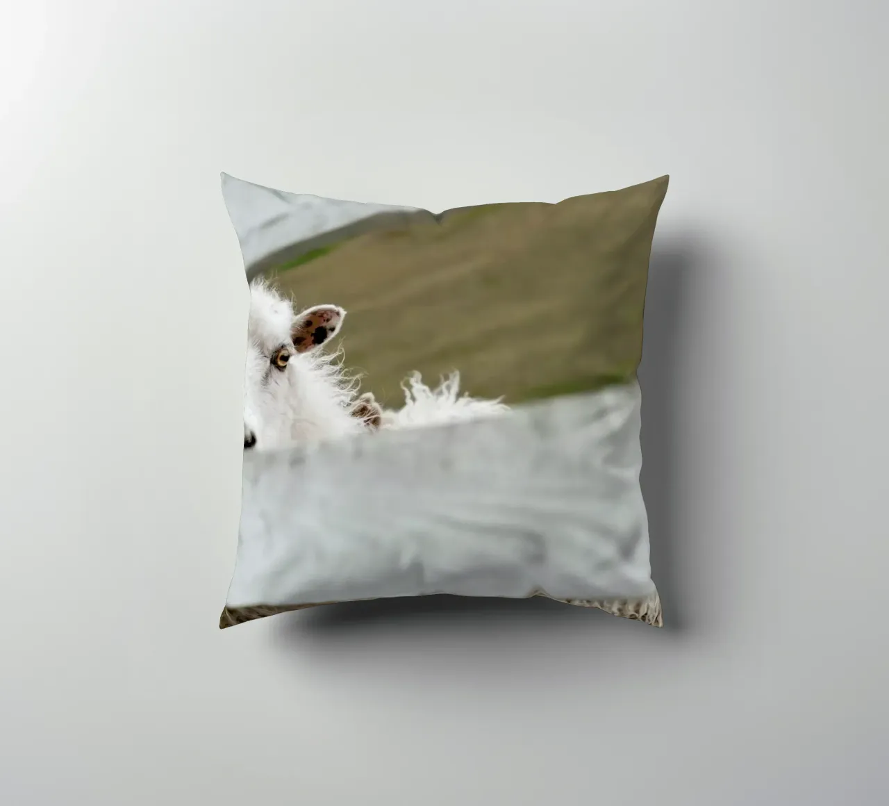 Watch Closely decorative cushion by Nur Mut
