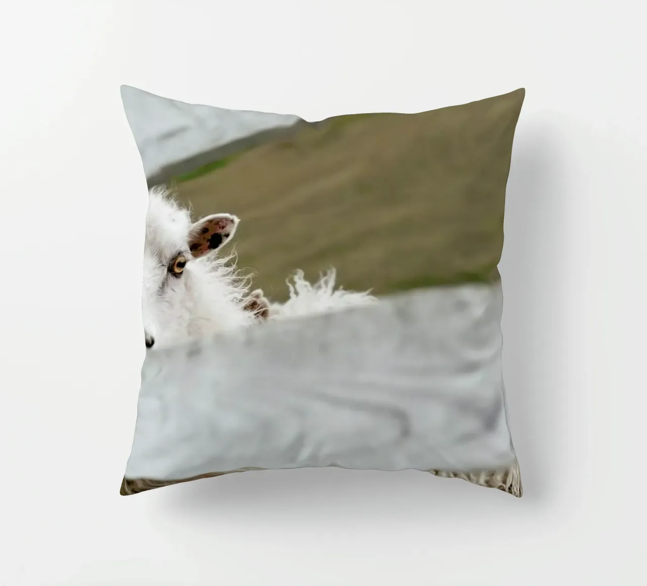 Watch Closely decorative cushion by Nur Mut