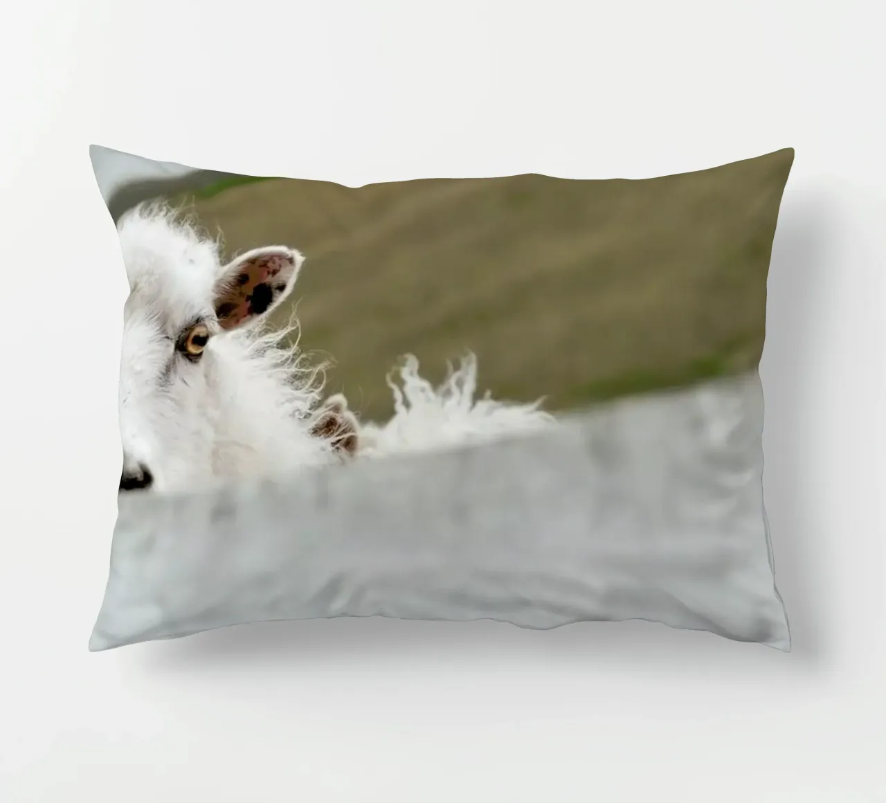 Watch Closely decorative cushion by Nur Mut