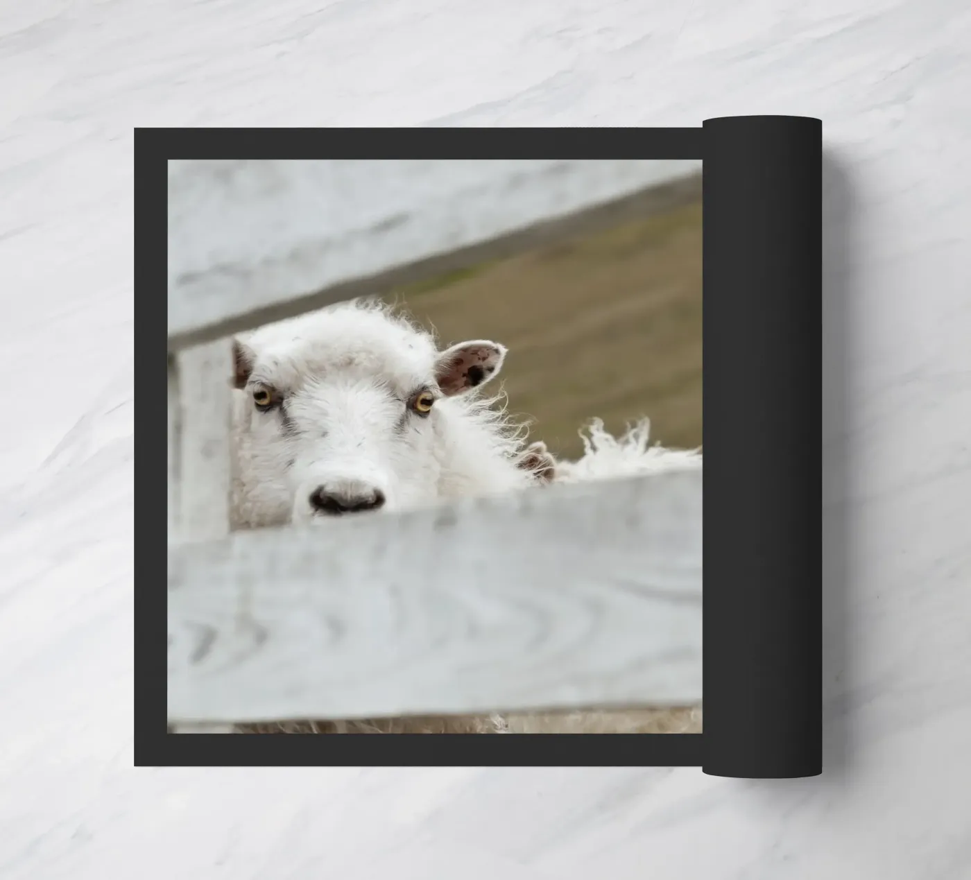 Watch Closely zerbino da Nur Mut