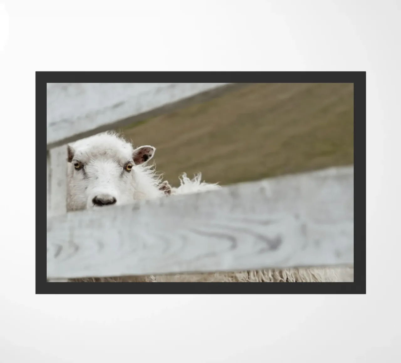 Watch Closely zerbino da Nur Mut