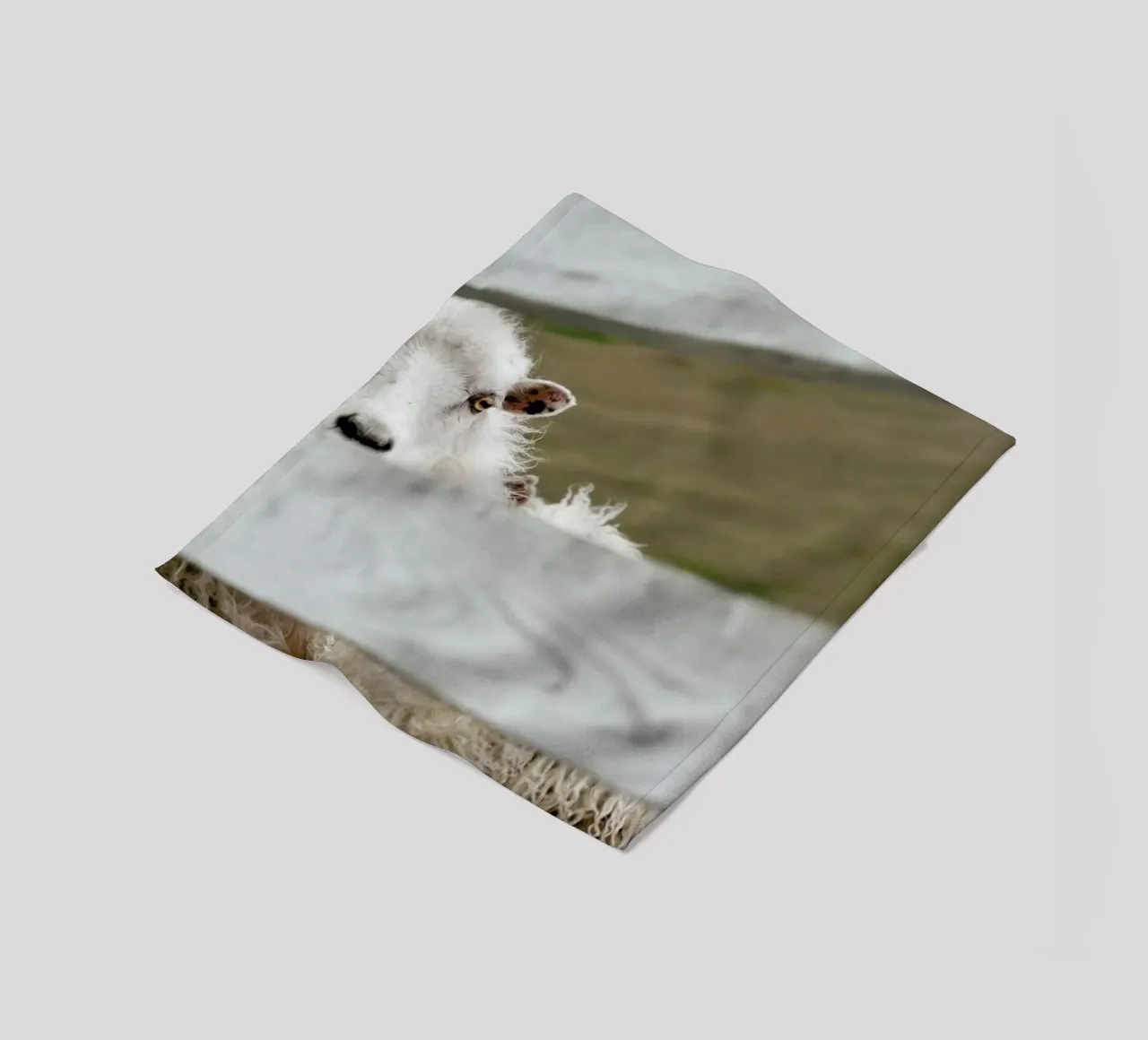 Watch Closely coperta in pile da Nur Mut