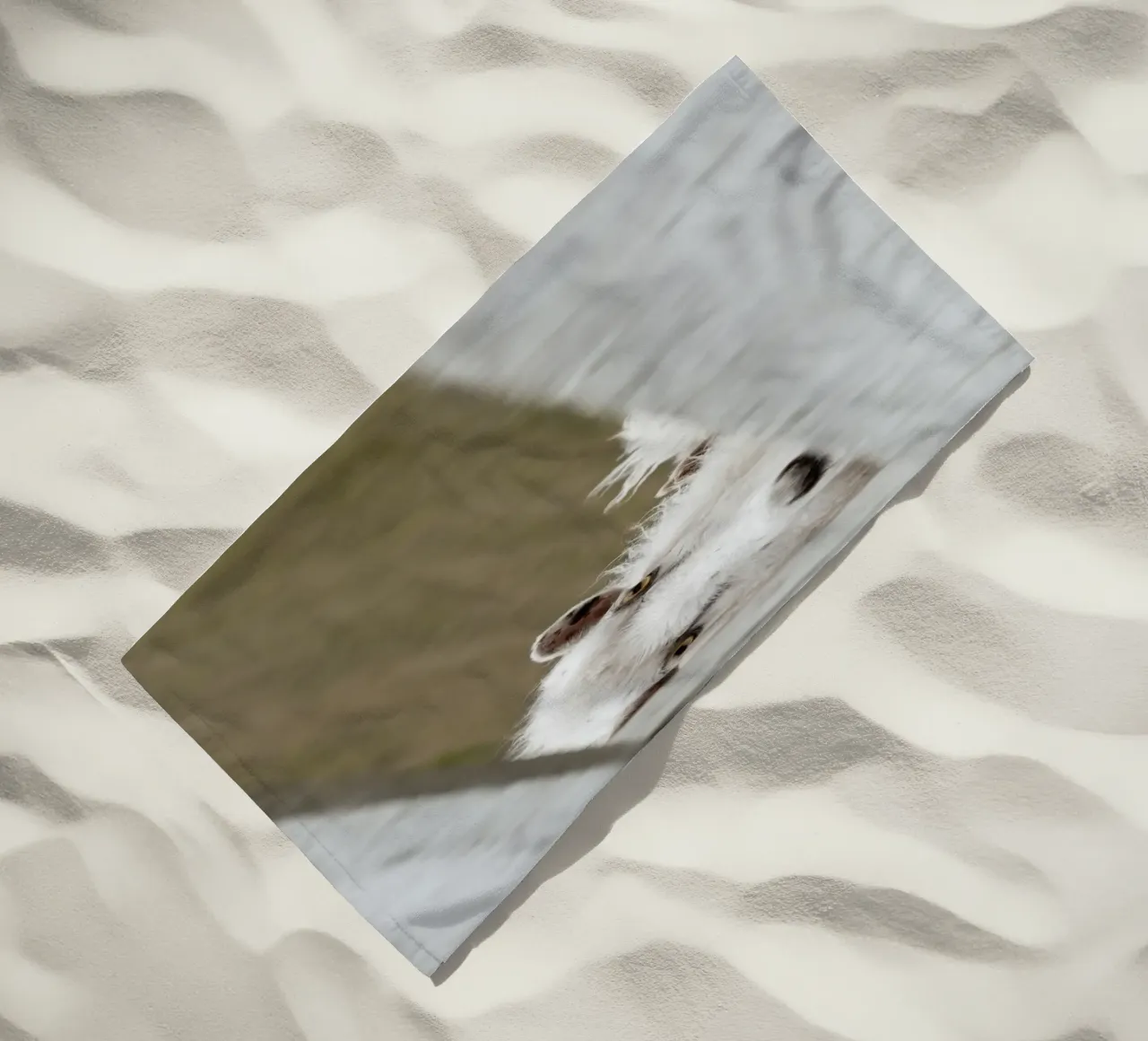 Watch Closely telo mare da Nur Mut