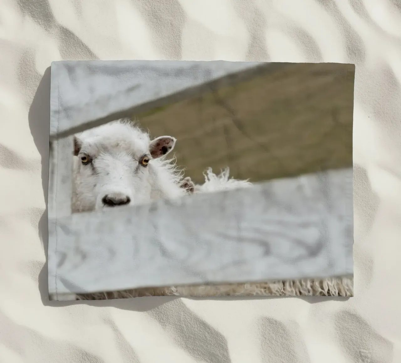 Watch Closely telo mare da Nur Mut