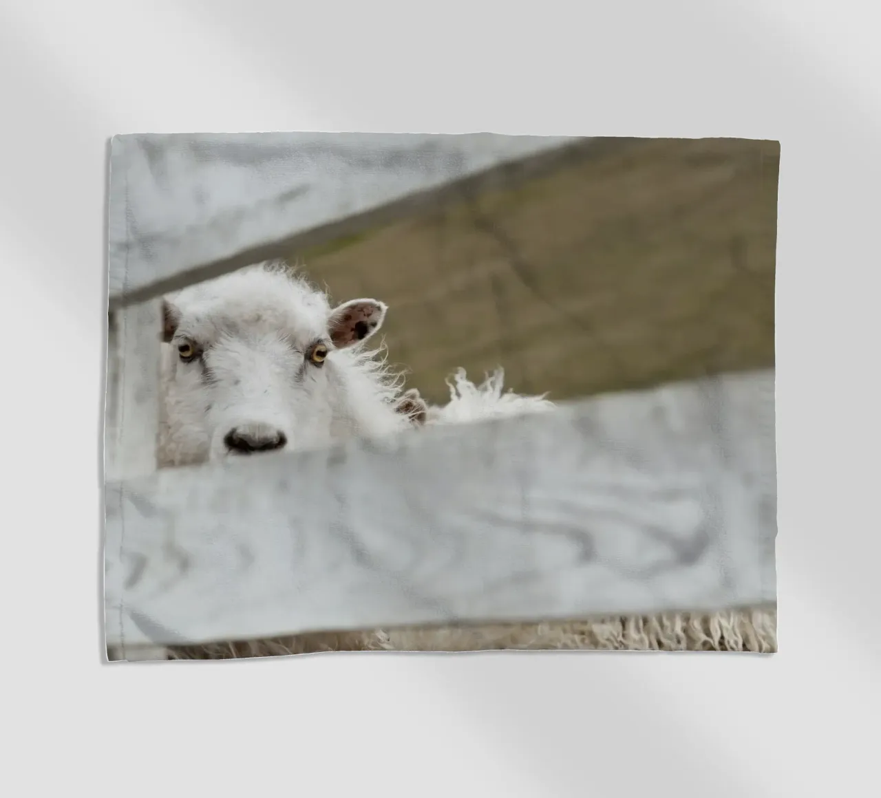 Watch Closely telo mare da Nur Mut