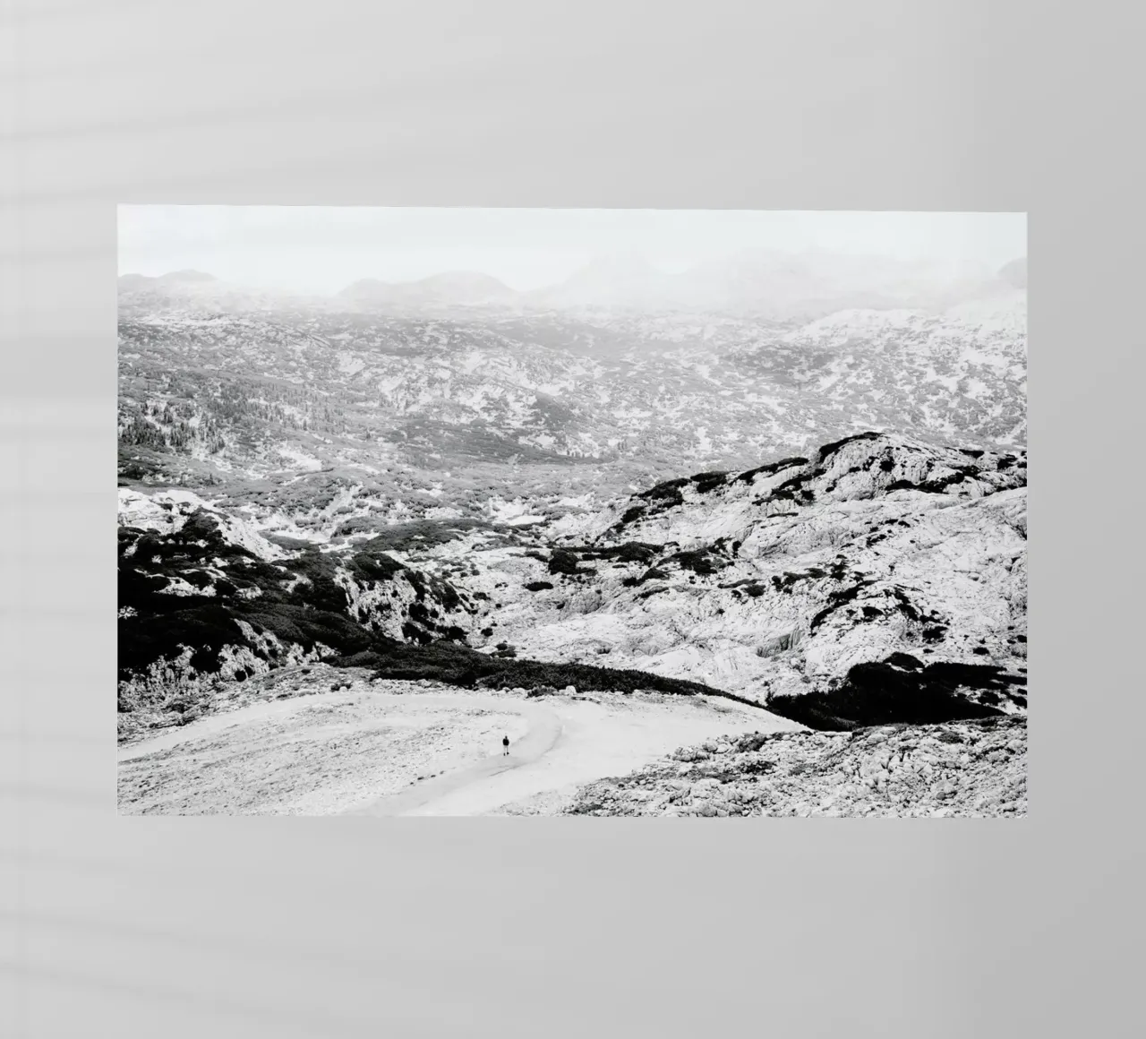 Traces pellicola backlit da Picture On The Fridge