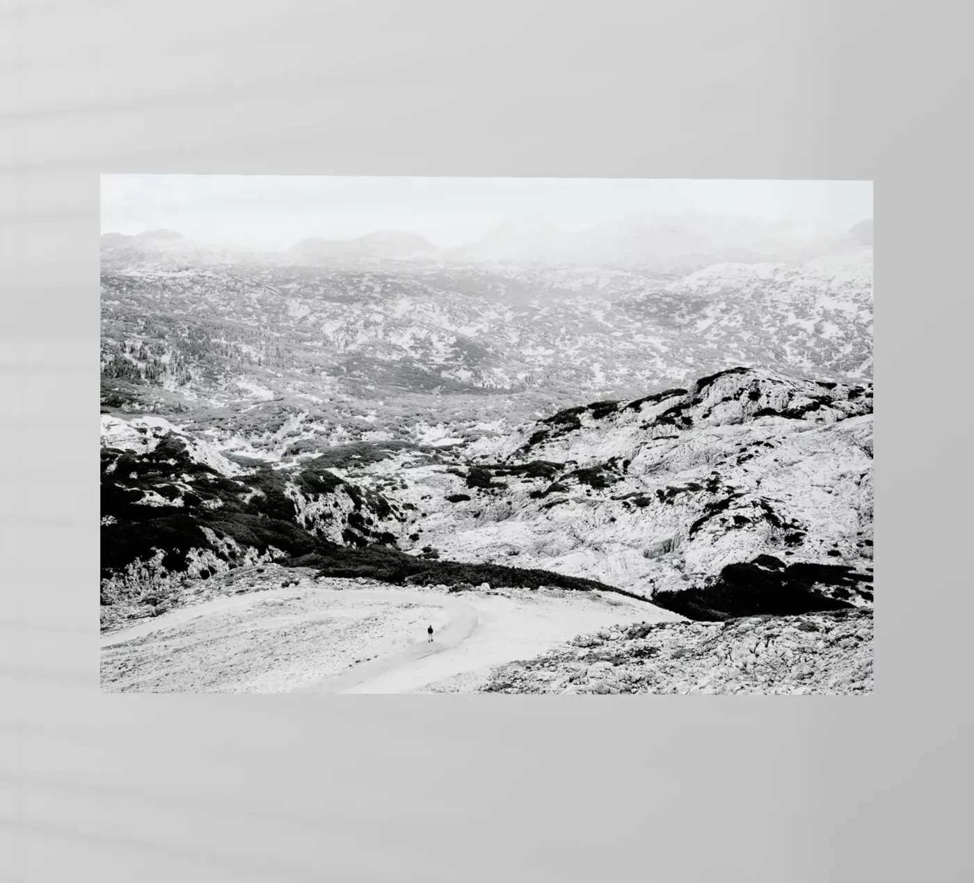 Traces backlit film by Picture On The Fridge