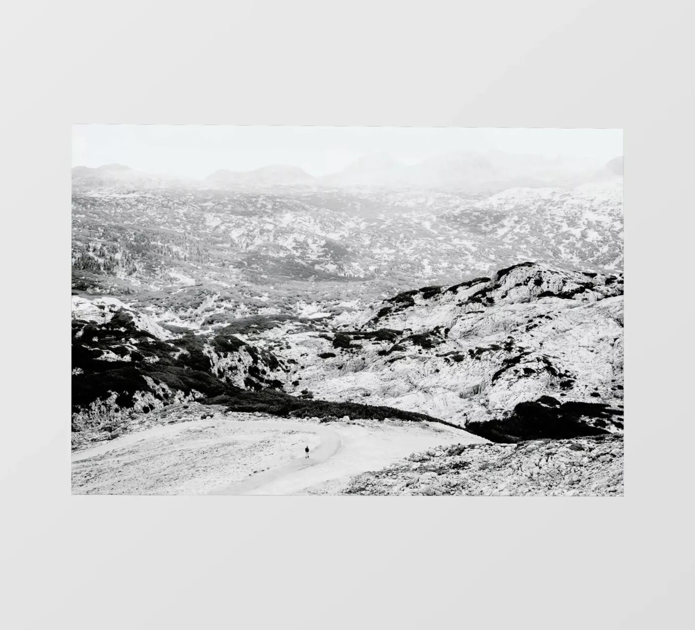 Traces pellicola backlit da Picture On The Fridge