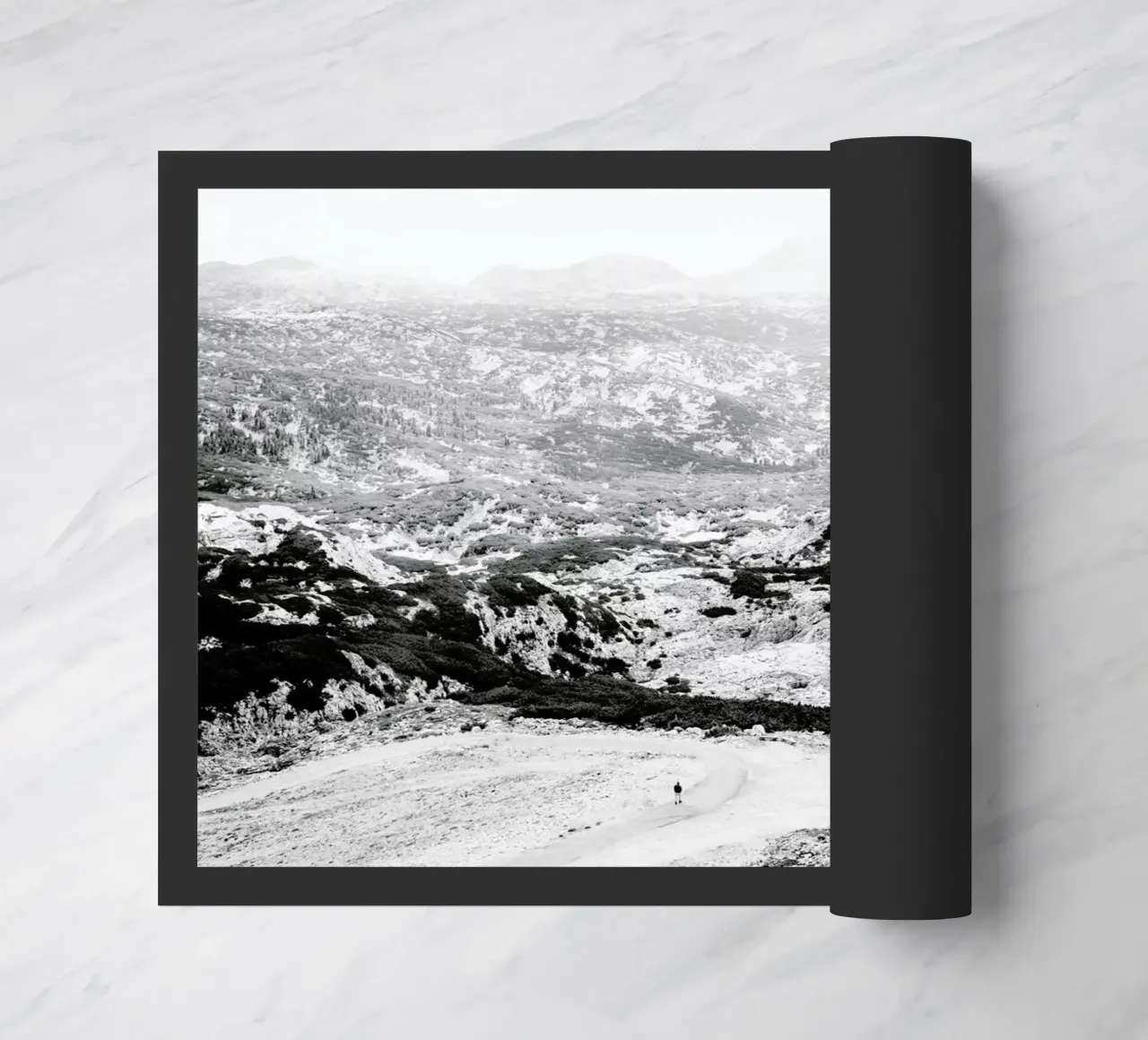 Traces zerbino da Picture On The Fridge