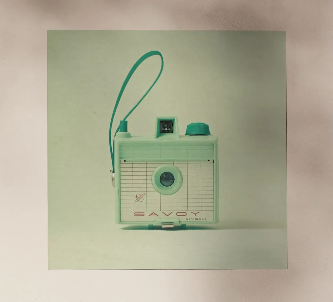 Munt backlit folie van Cassia Beck Photography