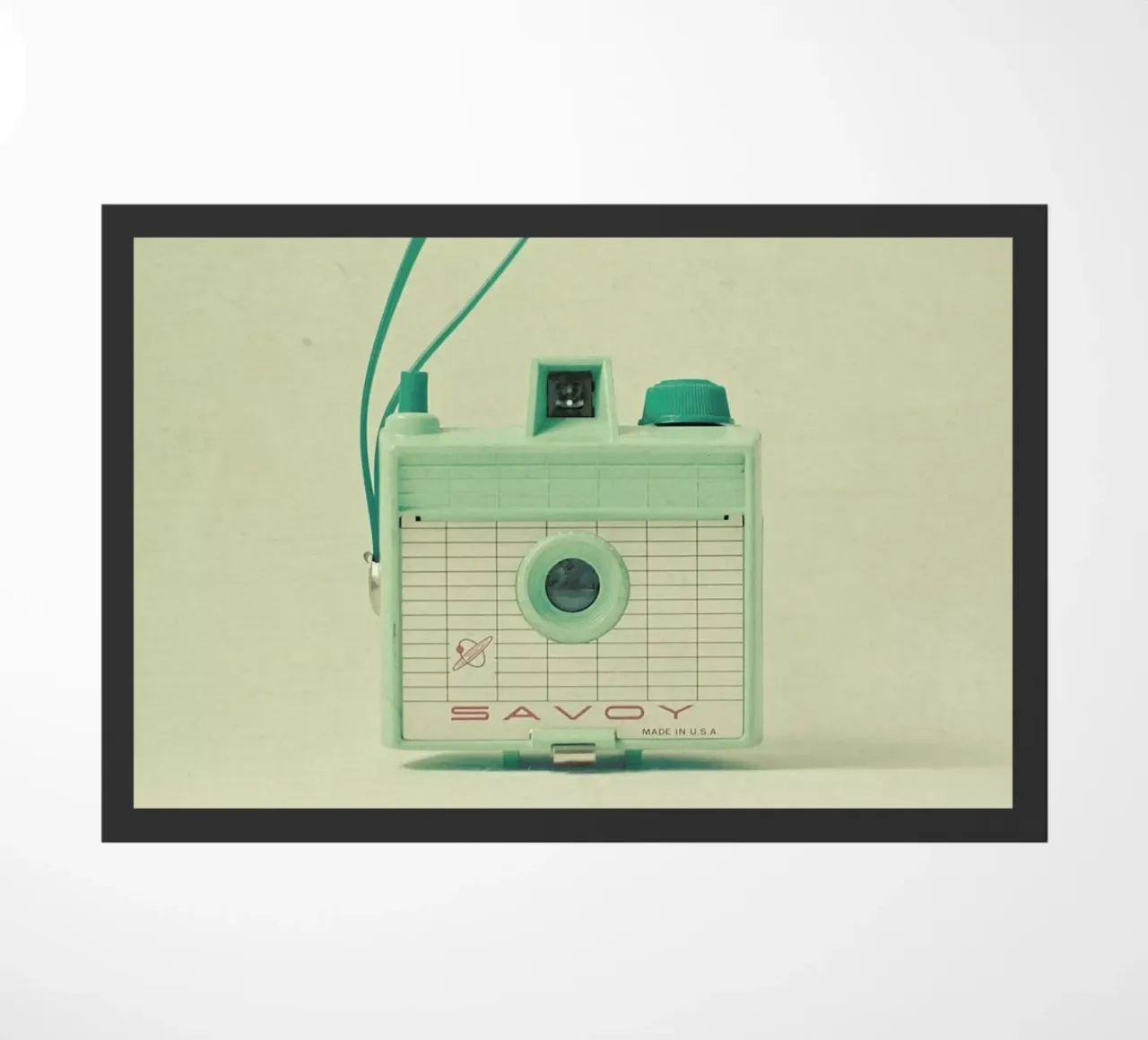 Menta zerbino da Cassia Beck Photography