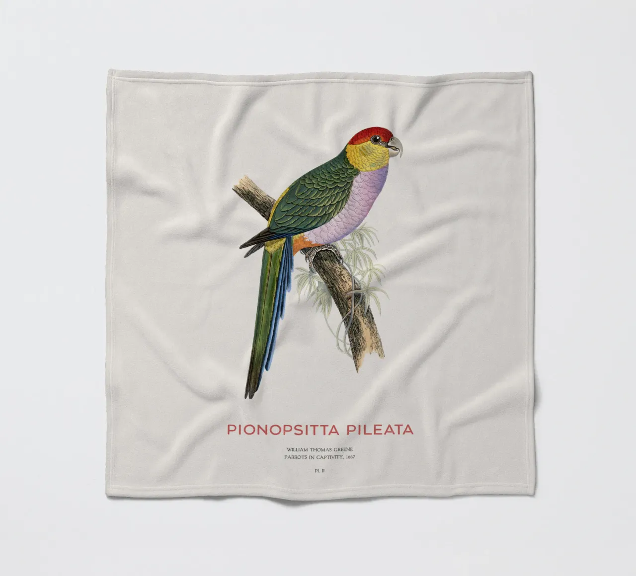 South American pileated parrot or Pionopsitta pileata fleece blanket by Vintagrafica