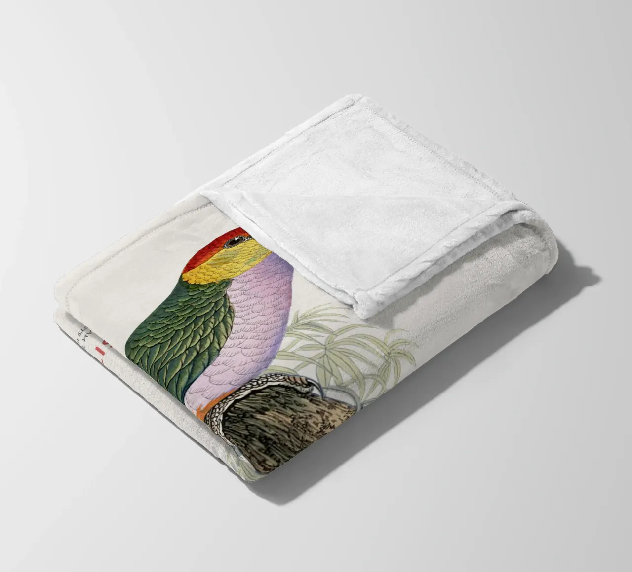 South American pileated parrot or Pionopsitta pileata fleece blanket by Vintagrafica