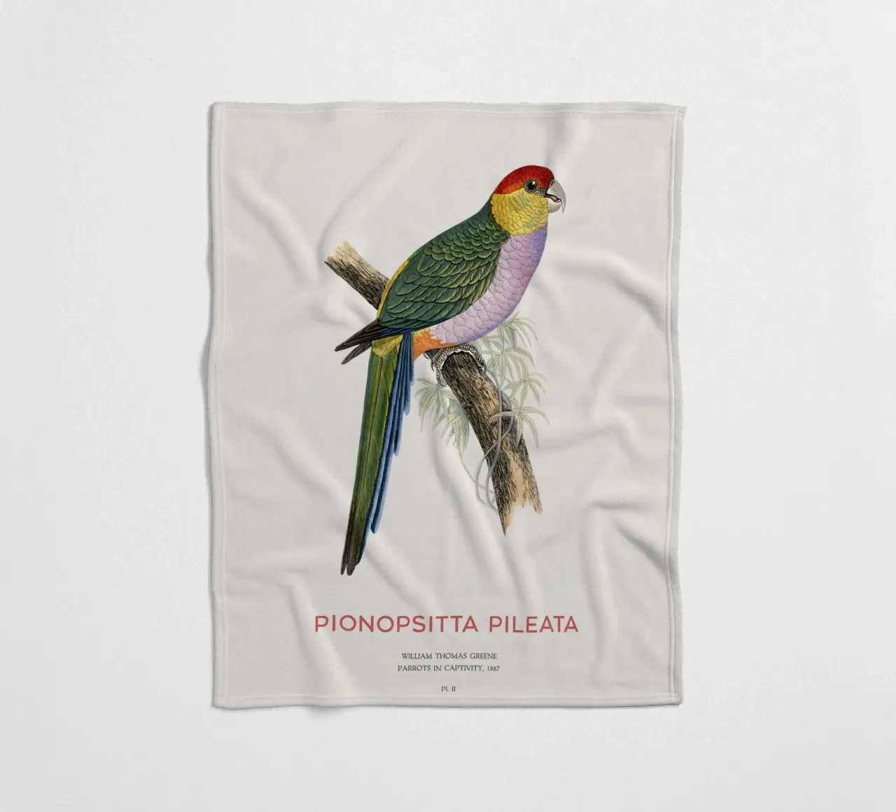South American pileated parrot or Pionopsitta pileata fleece blanket by Vintagrafica