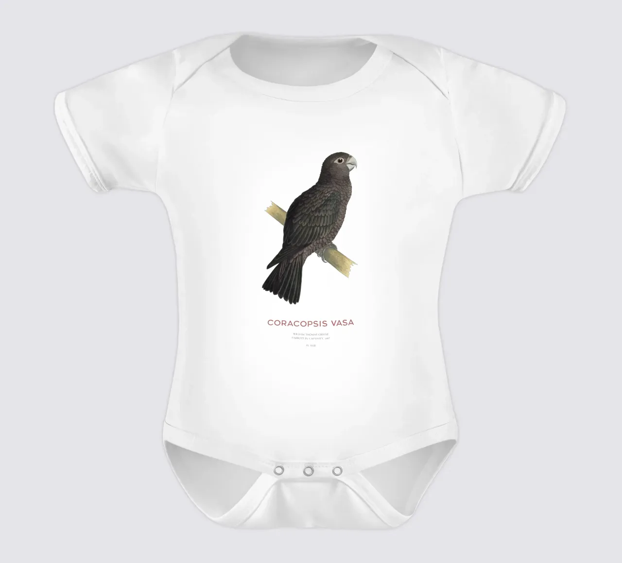 Großer Vasapapagei oder Coracopsis vasa Kurzarm Babybody von Vintagrafica