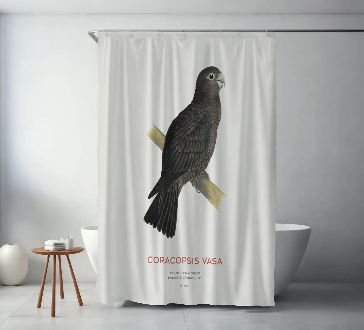 Großer Vasapapagei oder Coracopsis vasa Duschvorhang von Vintagrafica