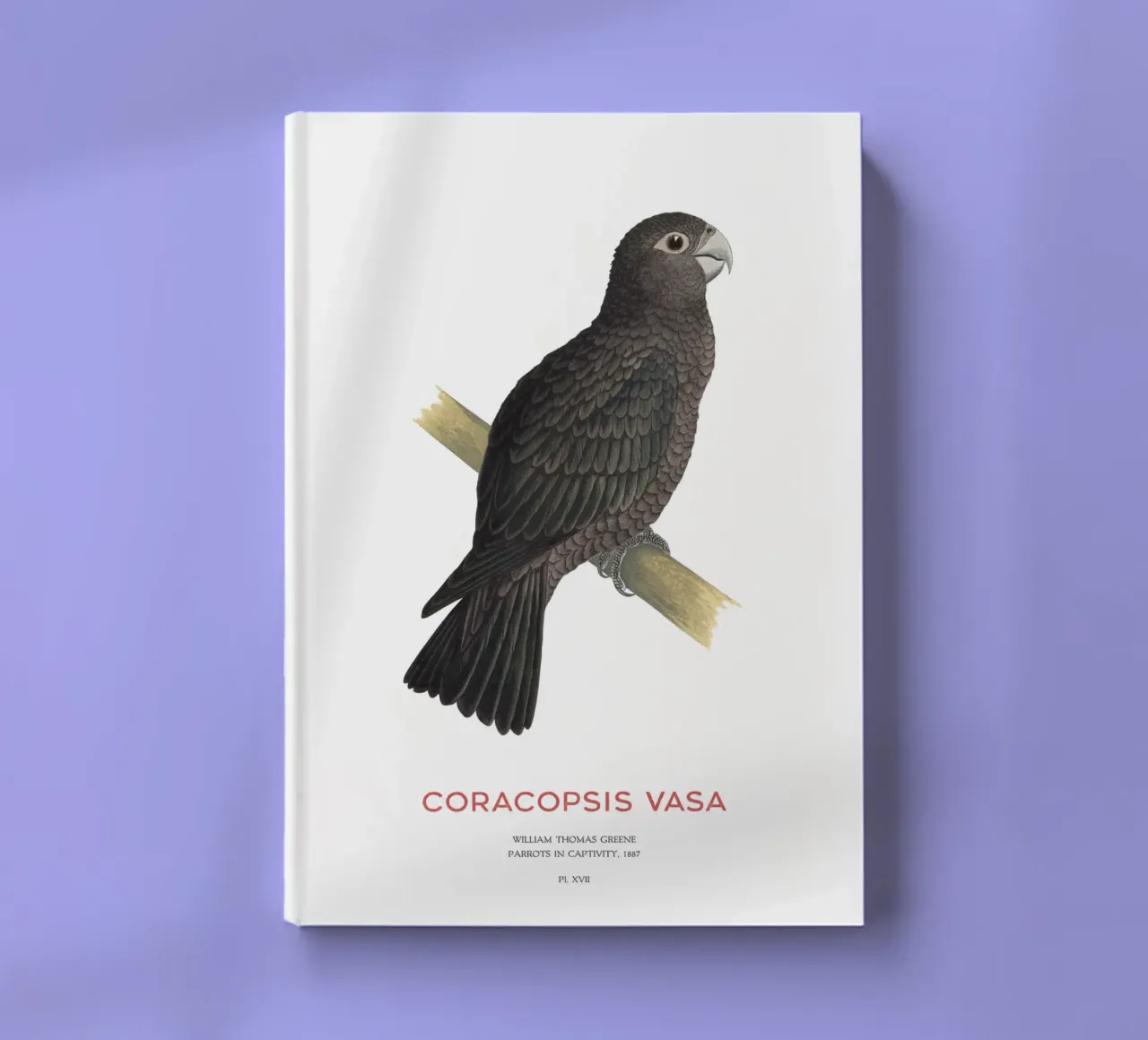 Greater vasa parrot or Coracopsis vasa notebook by Vintagrafica