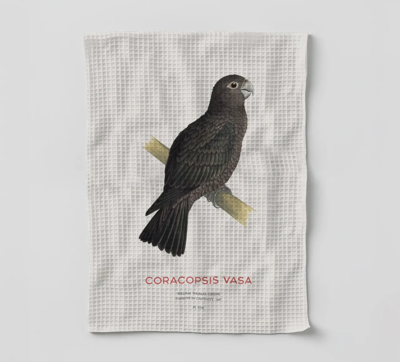 Großer Vasapapagei oder Coracopsis vasa Geschirrtuch von Vintagrafica