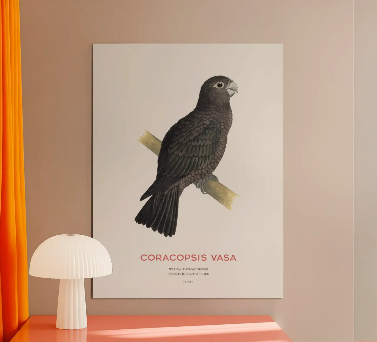 Großer Vasapapagei oder Coracopsis vasa Hahnemühle von Vintagrafica