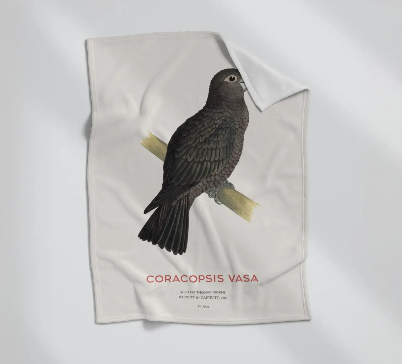 Großer Vasapapagei oder Coracopsis vasa Fleecedecke von Vintagrafica