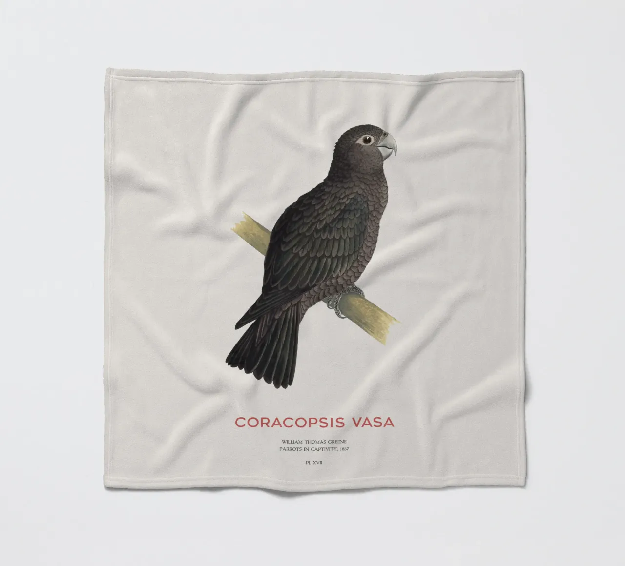 Großer Vasapapagei oder Coracopsis vasa Fleecedecke von Vintagrafica