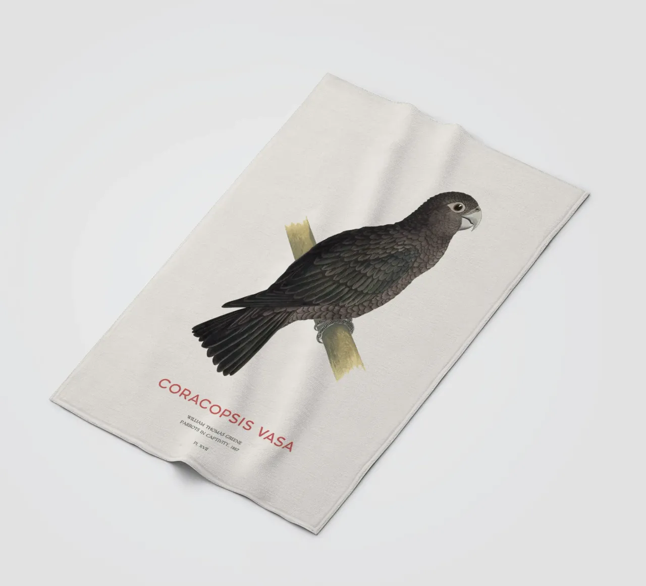Großer Vasapapagei oder Coracopsis vasa Fleecedecke von Vintagrafica