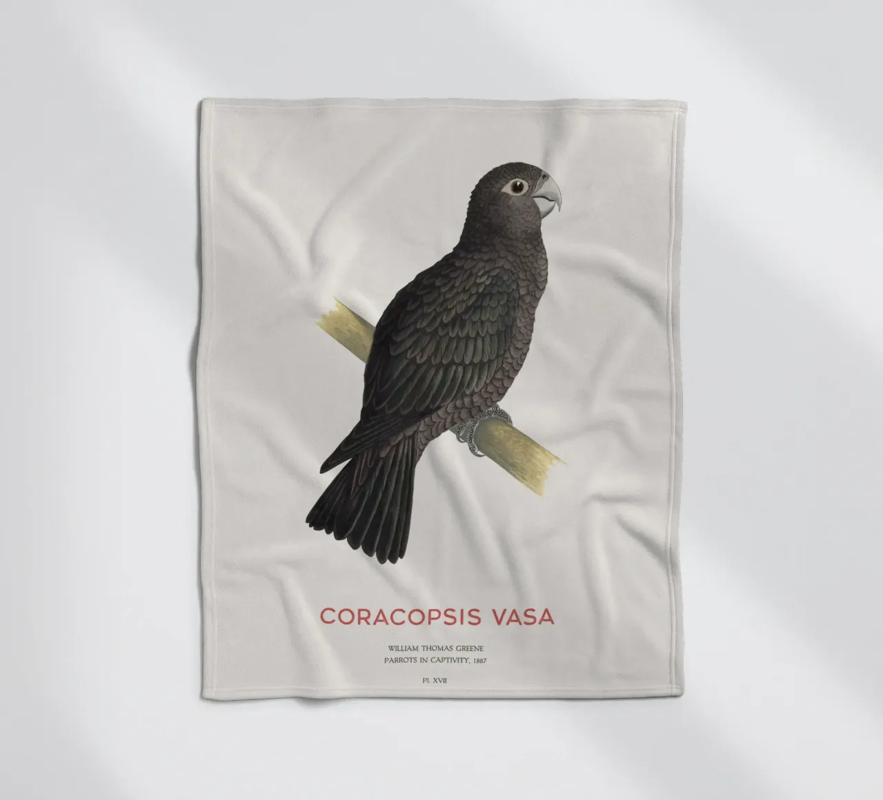 Großer Vasapapagei oder Coracopsis vasa Fleecedecke von Vintagrafica