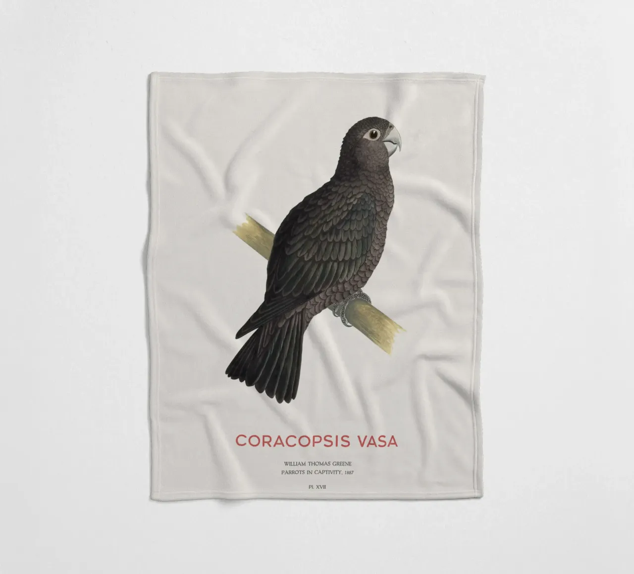 Großer Vasapapagei oder Coracopsis vasa Fleecedecke von Vintagrafica