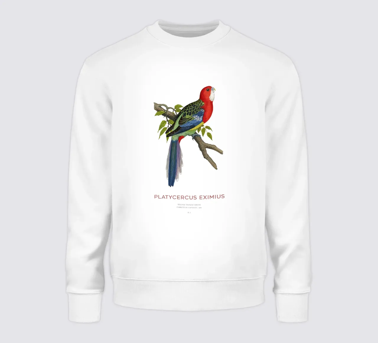 Rosella orientale o Platycercus eximius felpa da Vintagrafica