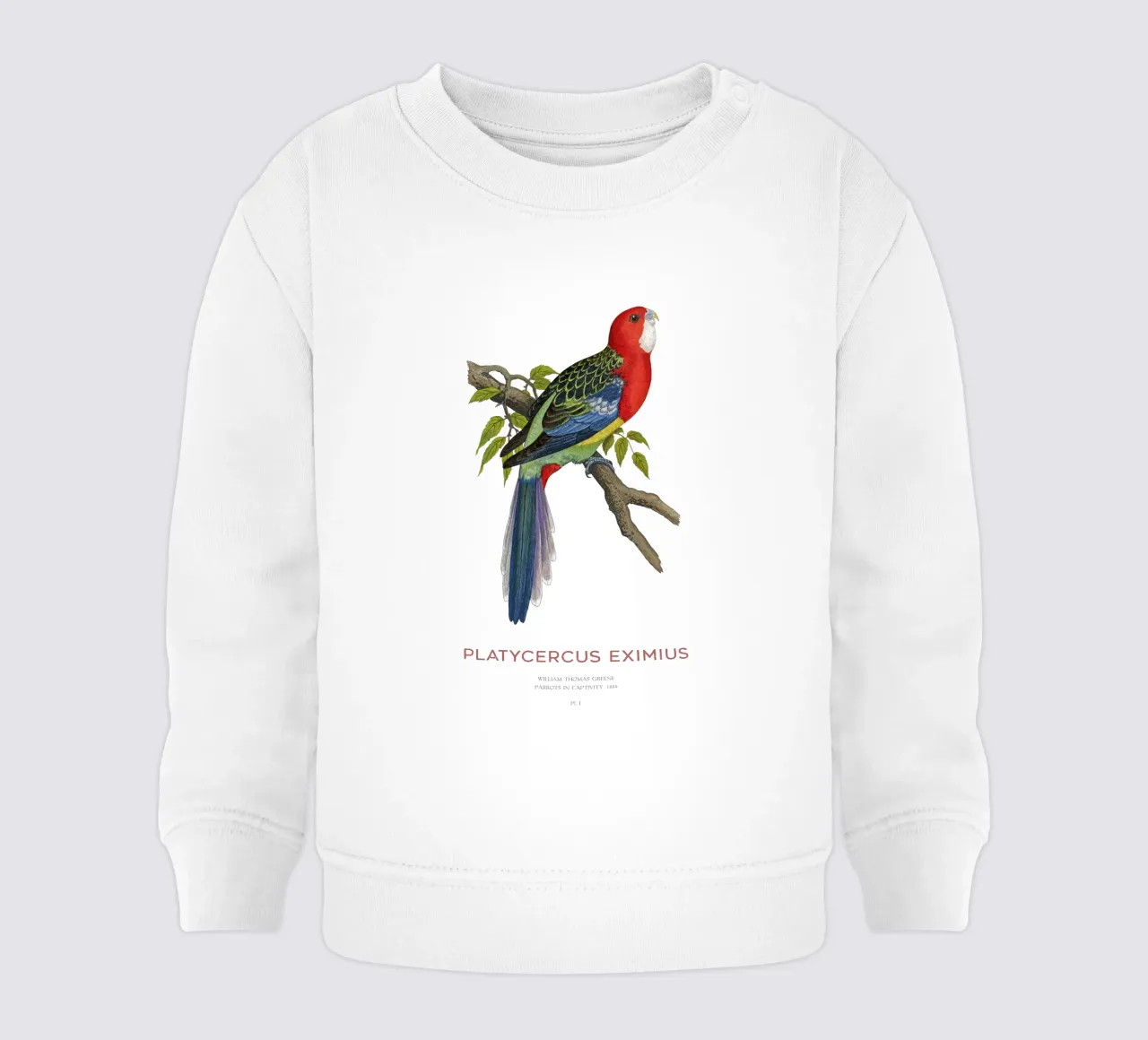 Rosella orientale o Platycercus eximius felpa neonato da Vintagrafica