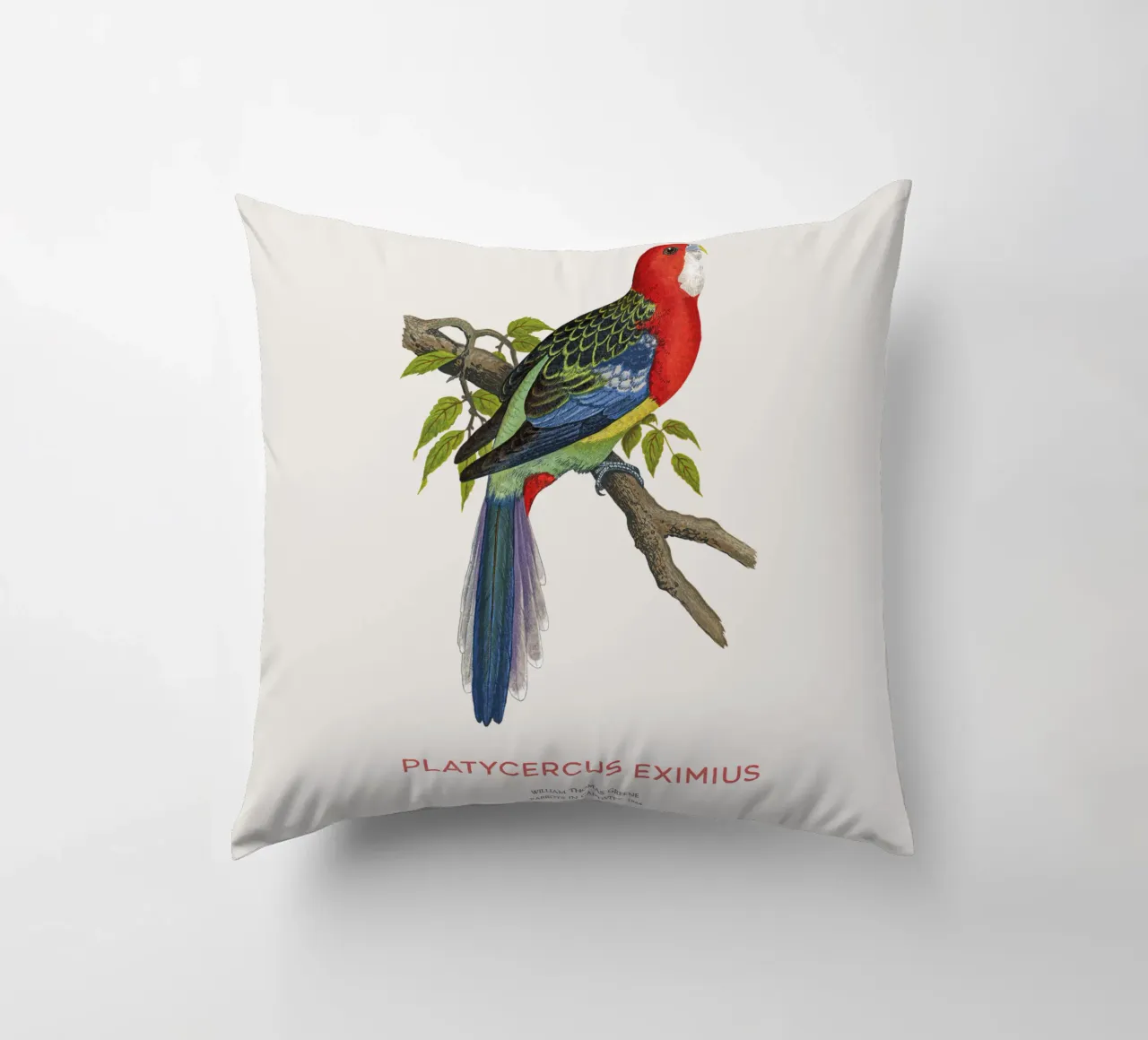Rosella orientale o Platycercus eximius cuscino da Vintagrafica