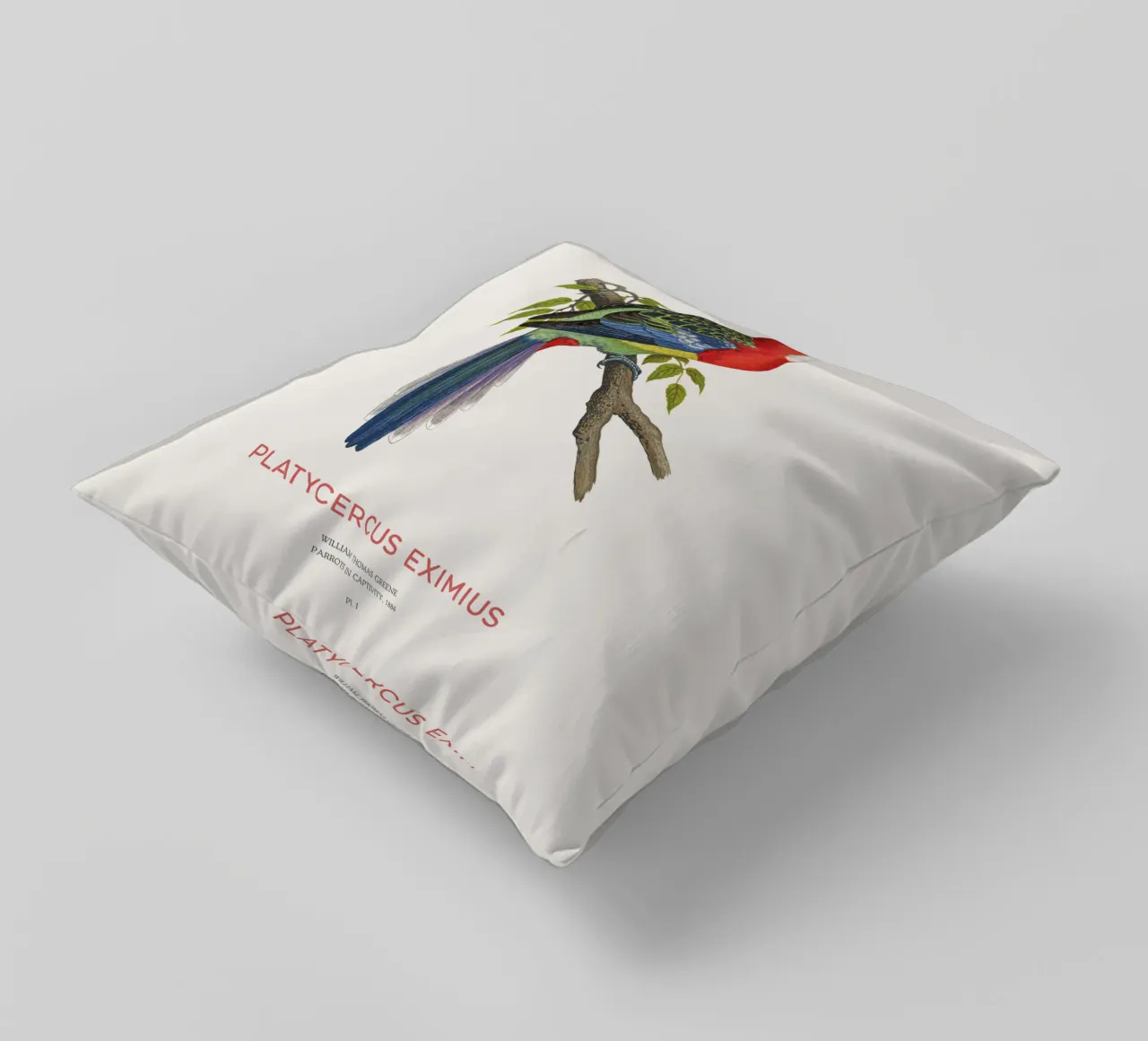 Rosella orientale o Platycercus eximius cuscino da Vintagrafica