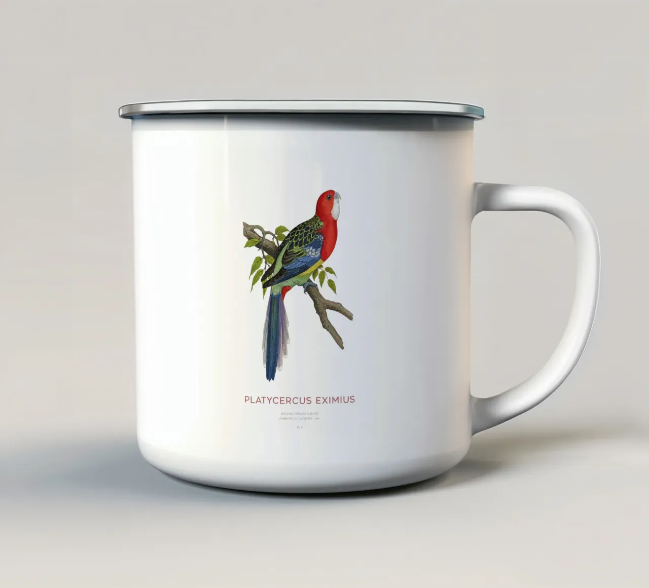 Rosella orientale o Platycercus eximius tazza in smalto da Vintagrafica