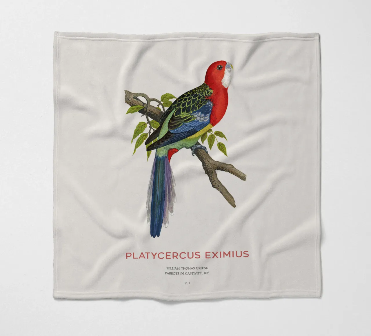 Rosella orientale o Platycercus eximius coperta in pile da Vintagrafica