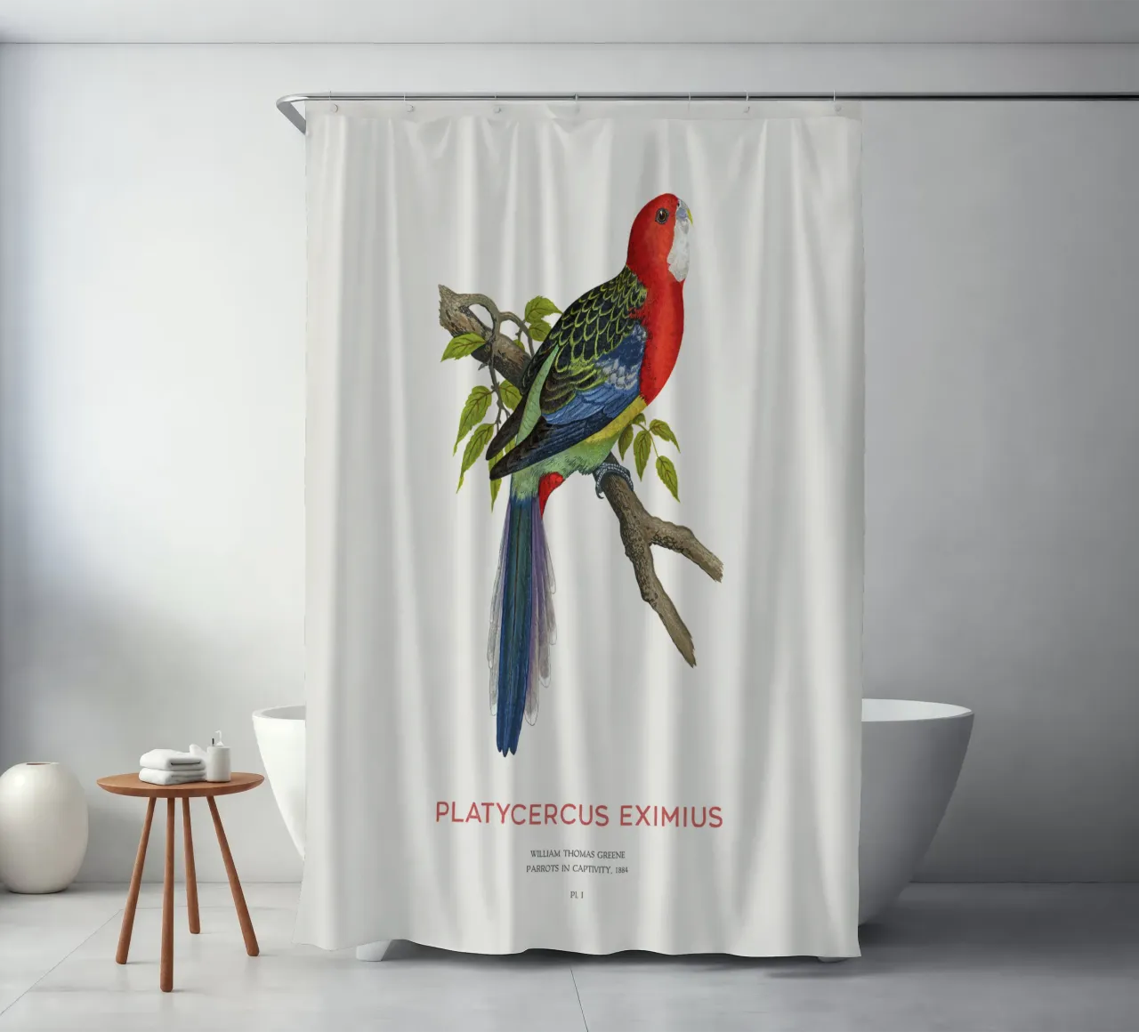 Östliche Rosella oder Platycercus eximius Duschvorhang von Vintagrafica